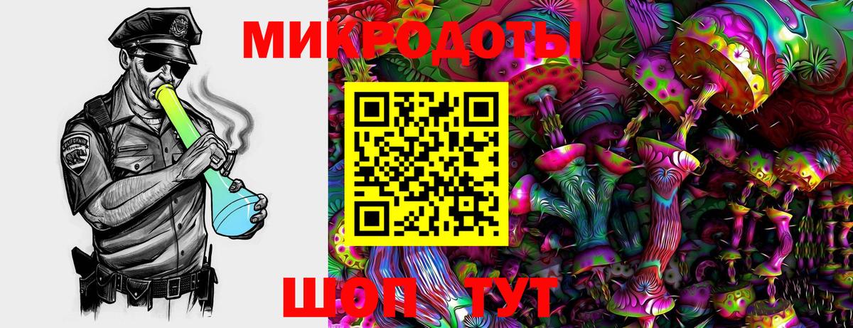 Галлюциногенные грибы Psilocybe  наркота  Вход с VPN  Кувандык  Псилоцибиновые грибы Psilocybine cubensis 